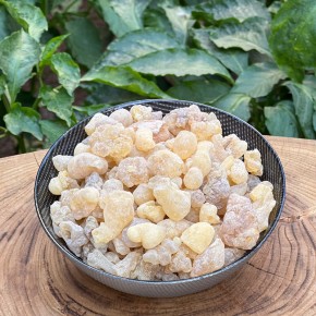 Ak Günlük Sakızı 100 gr Ak Günlük Sakızı 100 gr